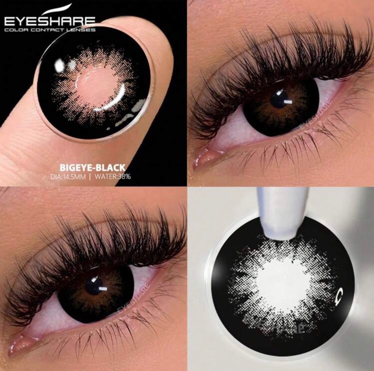عدسات أي شير - جمال بلا حدود  Bigeye black 62